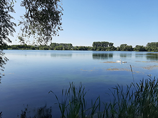 Grosser See Northeim